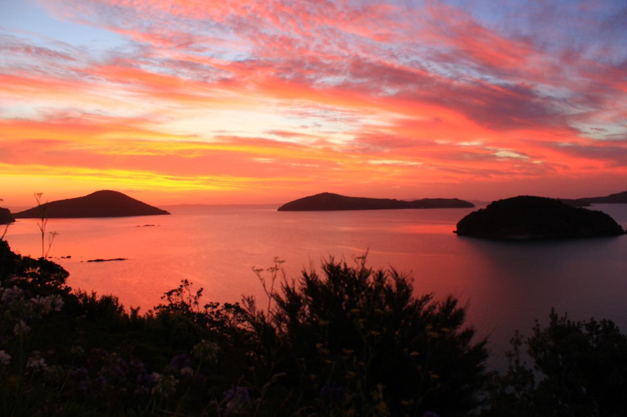 Coromandel Cottages Esterno foto