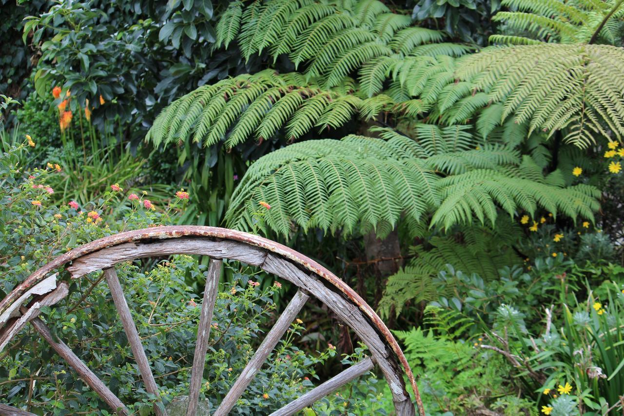 Coromandel Cottages Esterno foto
