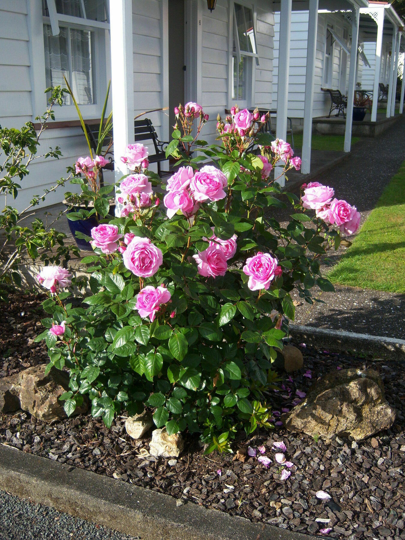 Coromandel Cottages Esterno foto
